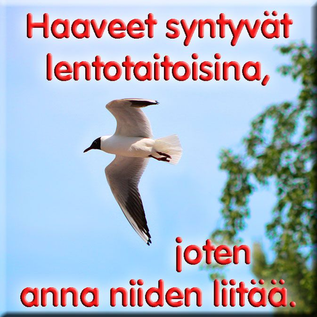 Magneetti "Haaveet syntyvät"