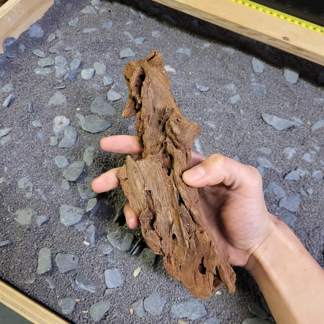 Driftwood S 8715897031106