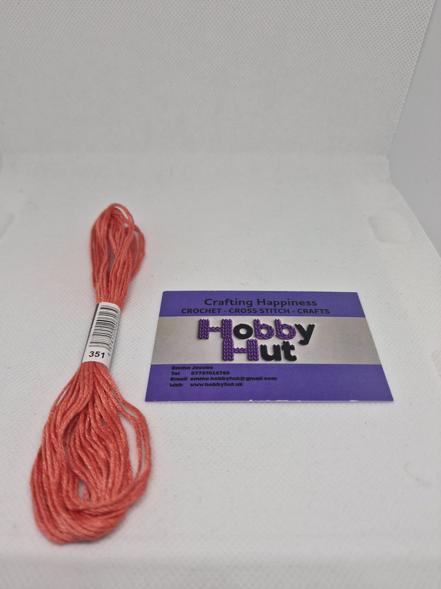 Embroidery Thread - 351