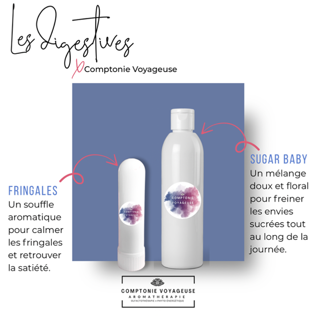 Équilibre alimentaire 