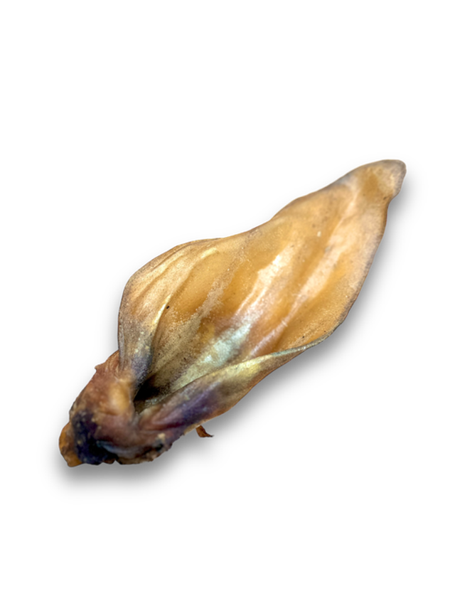 ANCO NATURALS MEATY BUFFALO EARS