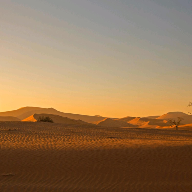 Extra Large Sunrise over the Sandunes Landscape Blank Greetings Card