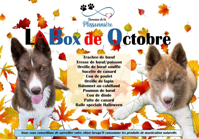 A - La Box de Octobre