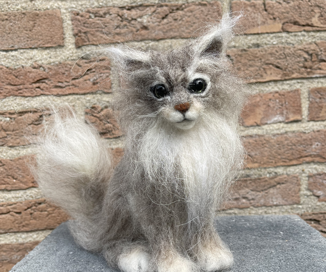 Naaldvilt grijze kat langharige