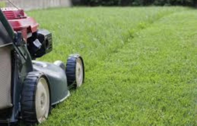 March-October Fortnightly 2hr Commercial Property Maintenance Contract