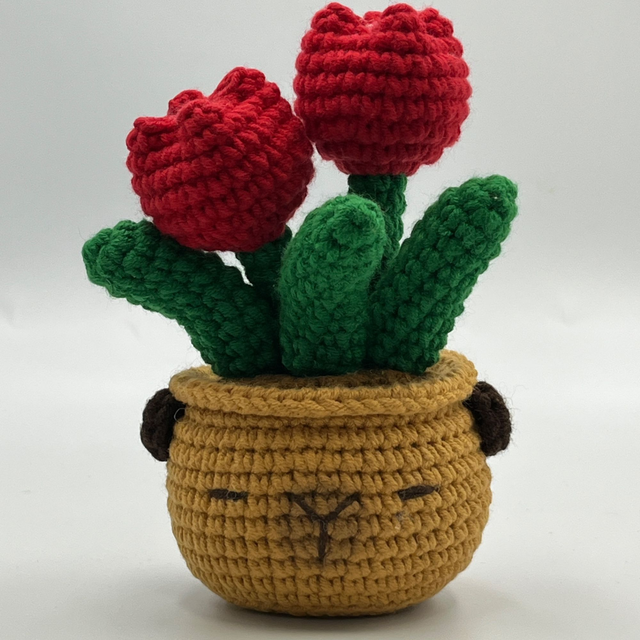  Pot Tulipe – Capy Cool