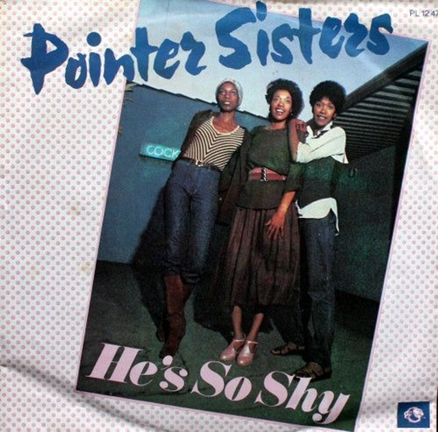 Pointer Sisters - He&#039;s So Shy