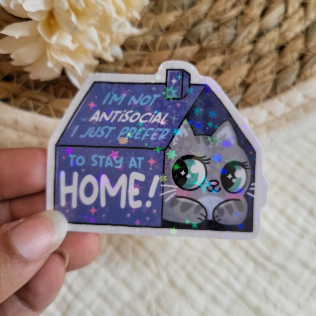 I'm not antisocial, i just prefer to stay at home !