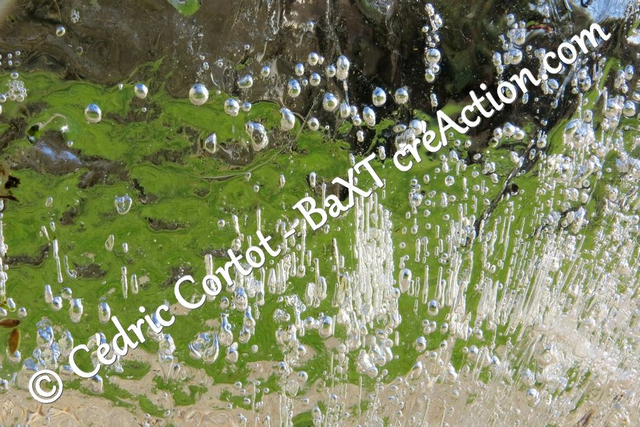 Impression sur alu dibond - Paysages et divers (ref 8271)