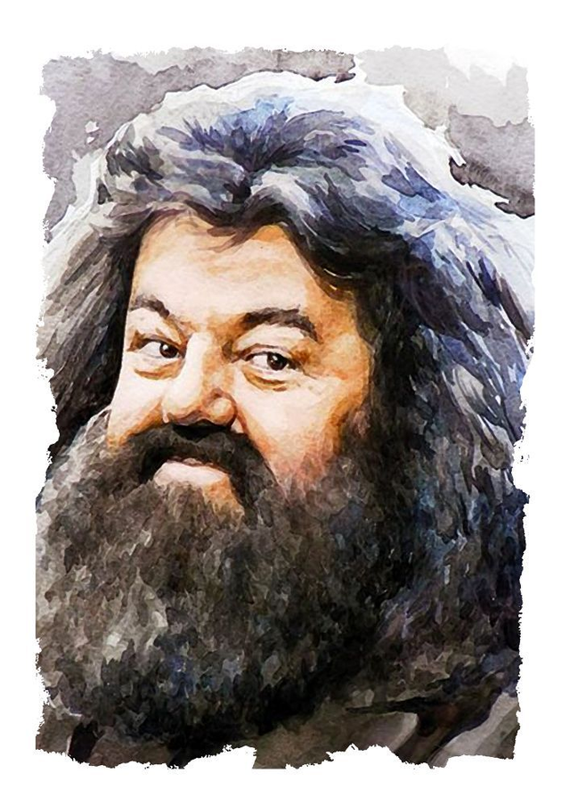 Hagrid Harry Potter Movies Art Print
