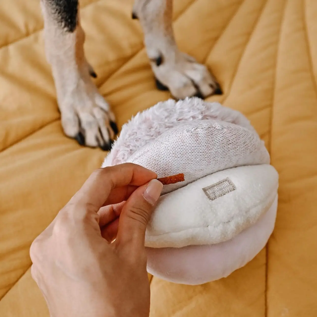 Jouet d’enrichissement – TOTO