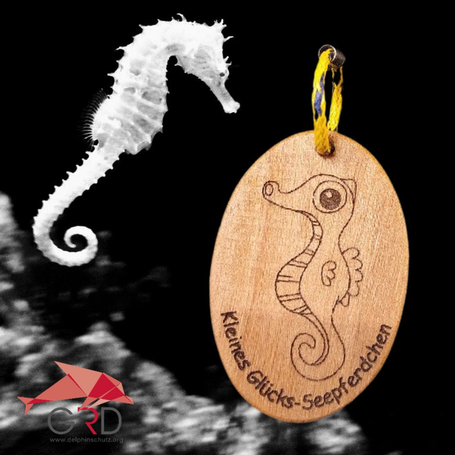 Kleines Glücks-Seepferdchen (Schlüsselanhänger für Kinder)