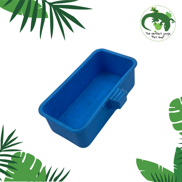Cubo para comida de Ave, color azul