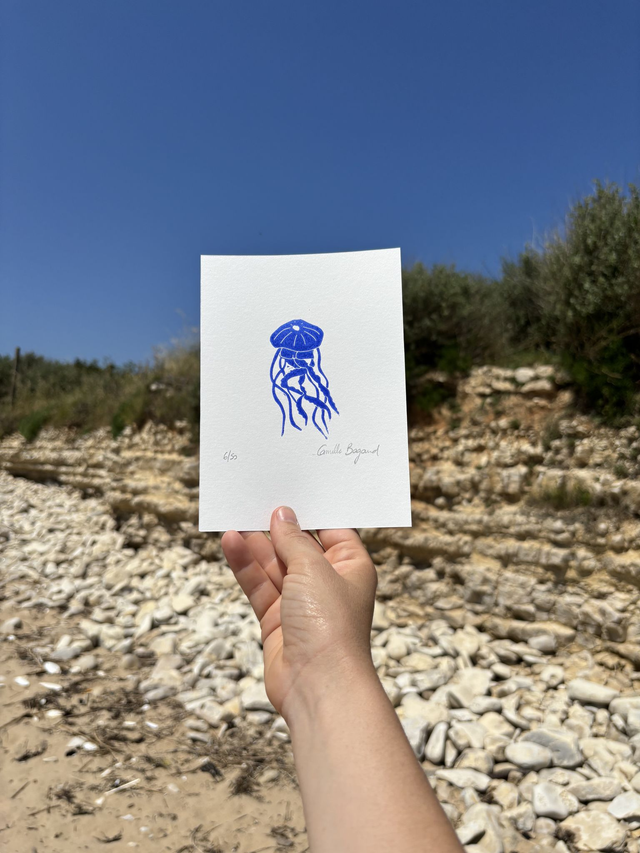 La méduse &quot;mini&quot;