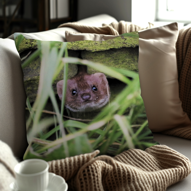 “Pop Goes The Weasel” Cushion 