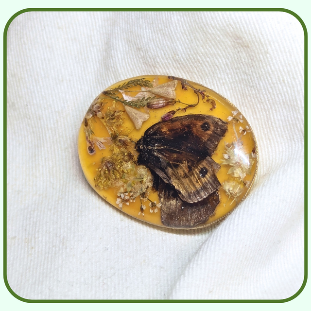 Meadow Brown Butterfly | Unique Brooch | Real Flowers & Foliage