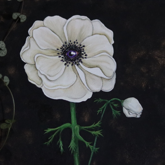 Anémone veilleuse 