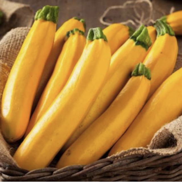 Courgettes jaune