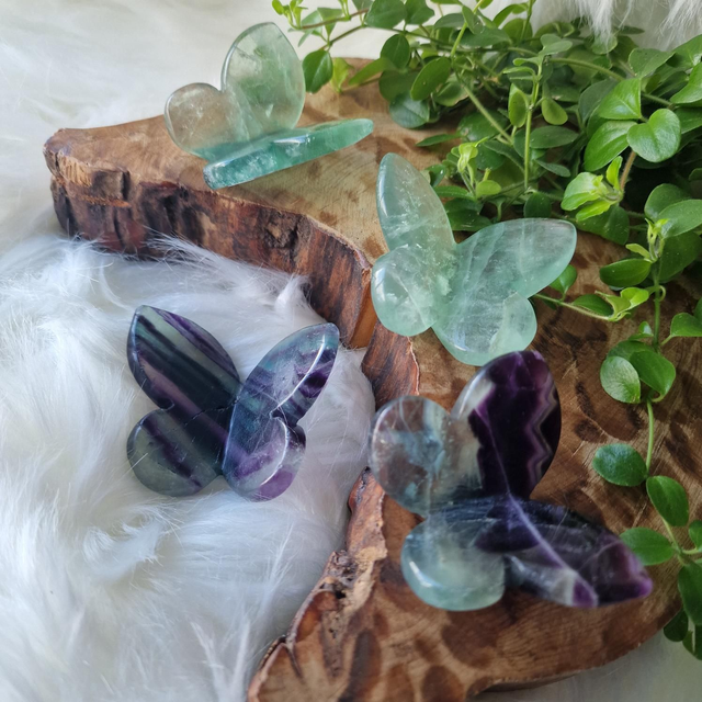 Fluorite butterfly 