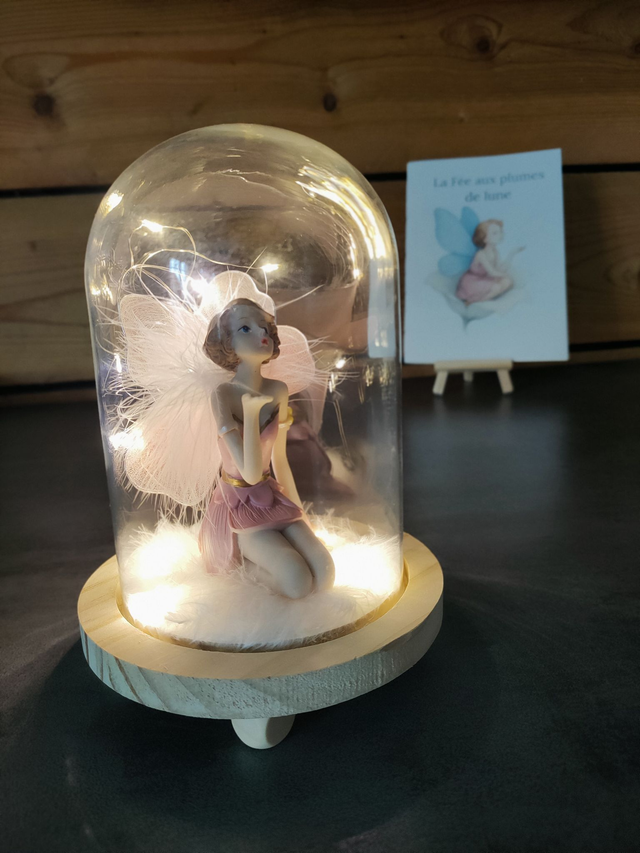 La fée aux plumes de Lune