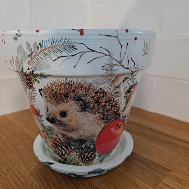 Hedgehog winter medium 