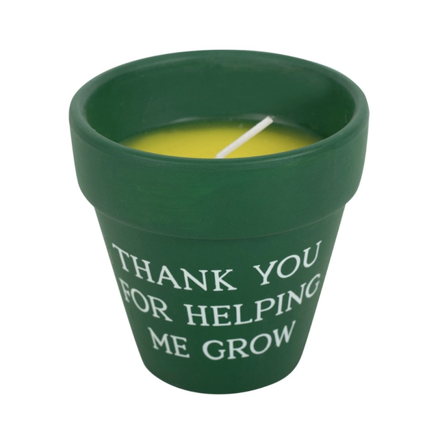 Citronella 