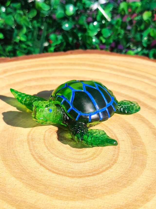 Tortue de mer