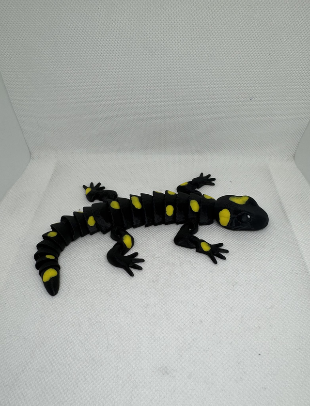 Salamandre 