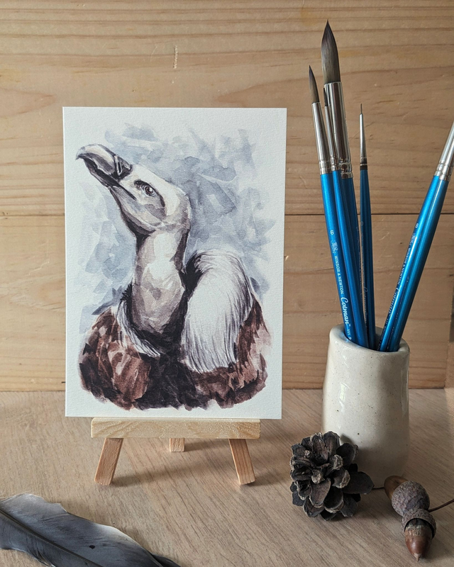 Le Vautour fauve - carte A6