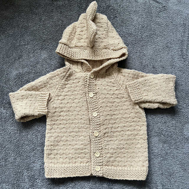 Dinosaur Hooded Cardigan 9-18months 
