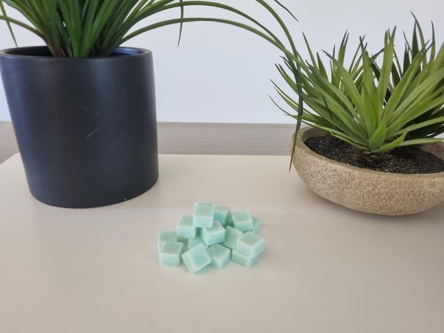 MENTHE CITRONNÉE fondants parfumés 