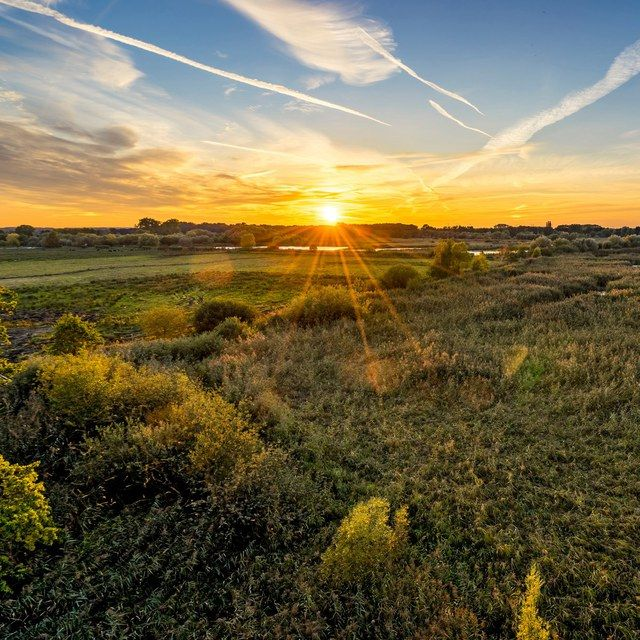 Sonnenuntergang in den Rieselfeldern