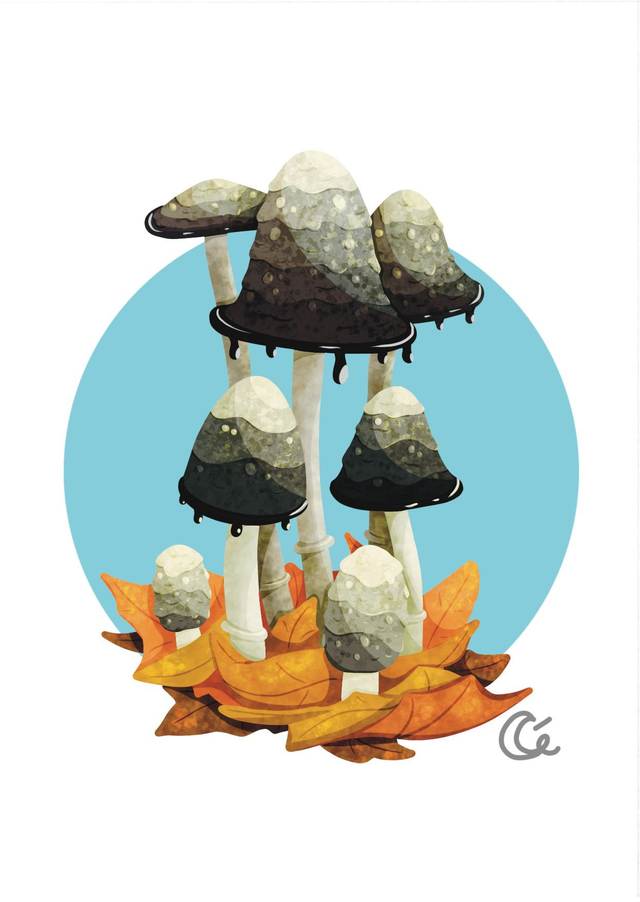 Print A6 Coprin Chevelu