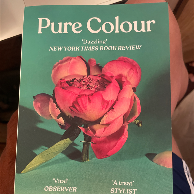 Pure Colour Sheila Heti