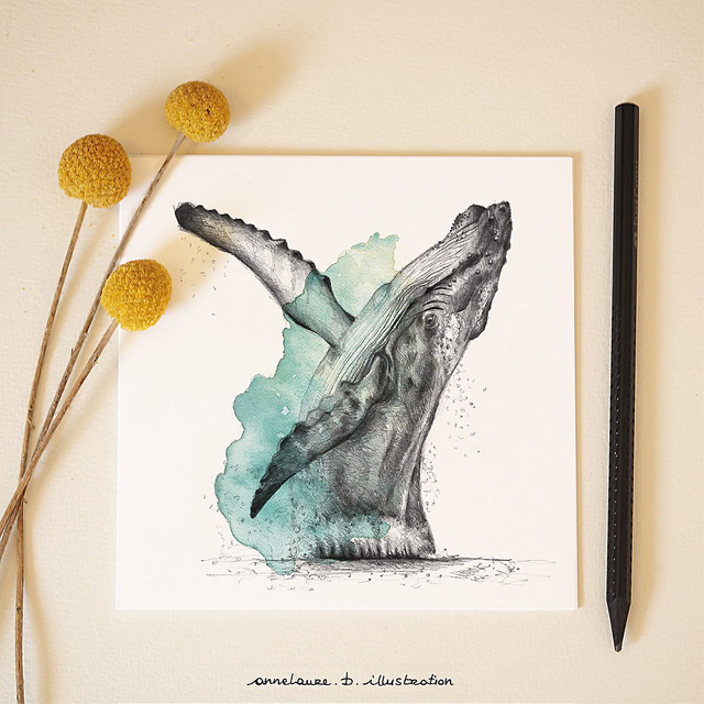 Carte &quot;Baleine à bosse&quot;