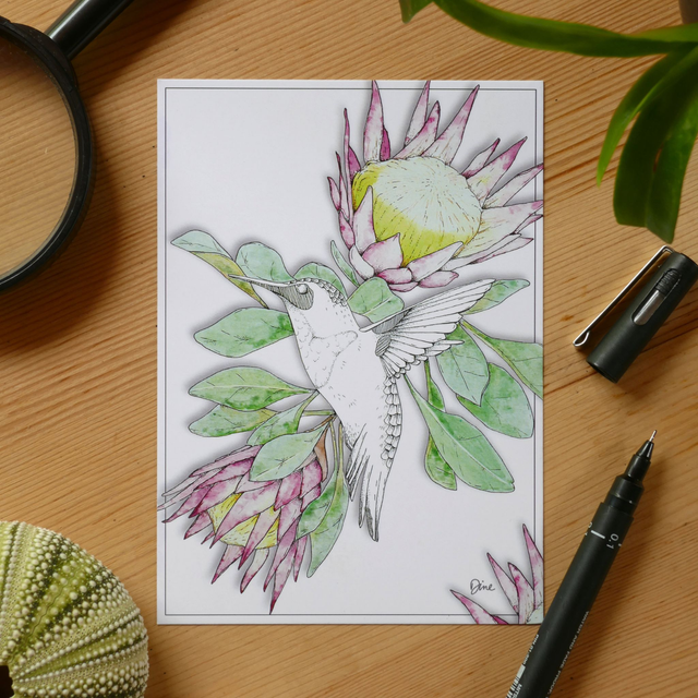 CARTE POSTALE – Colibri