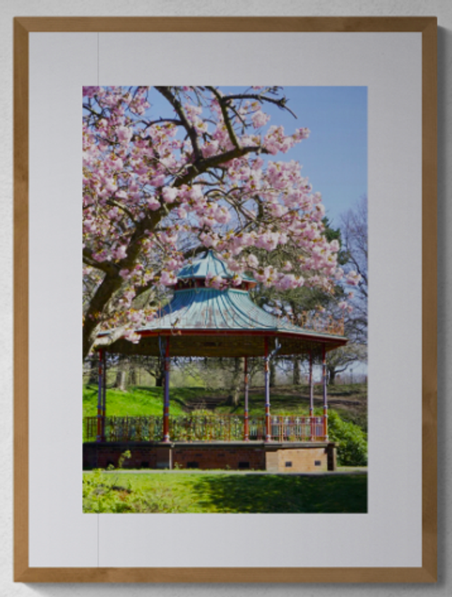 Bandstand is blooming - Print