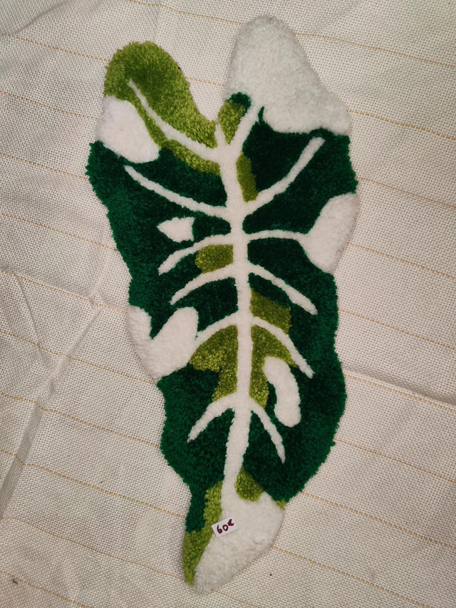 Feuille d'alocasia
