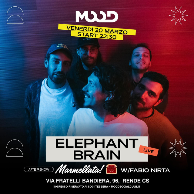 [20/03]🔥ELEPHANT BRAIN🔥