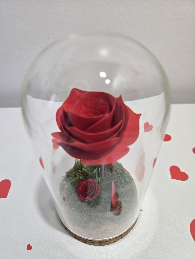 L’Éternelle – Rose Éternelle en Papier Sous Cloche de Verre