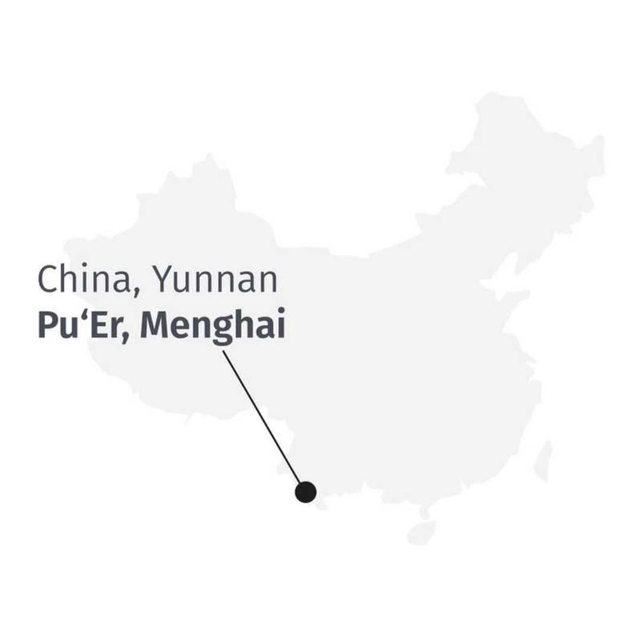 5_Premium Pu Erh Menghai Five Years