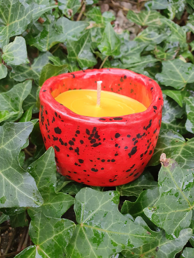 Cookies for Santa Christmas Candle