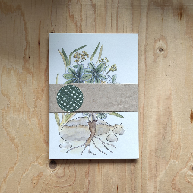 Bundle: 16 Pflanzengeschichten assortiert