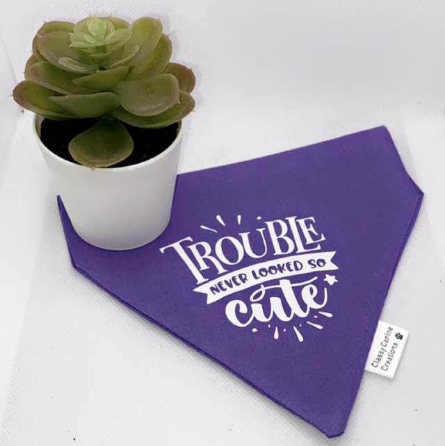 Trouble never looked so cute 