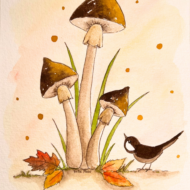 Le trio curieux ✨ A6