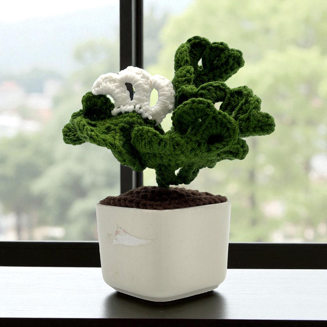Mini Monstera Albo