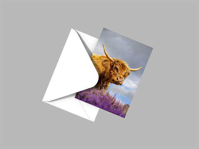 Purple is Definitely My Colour, Peak District