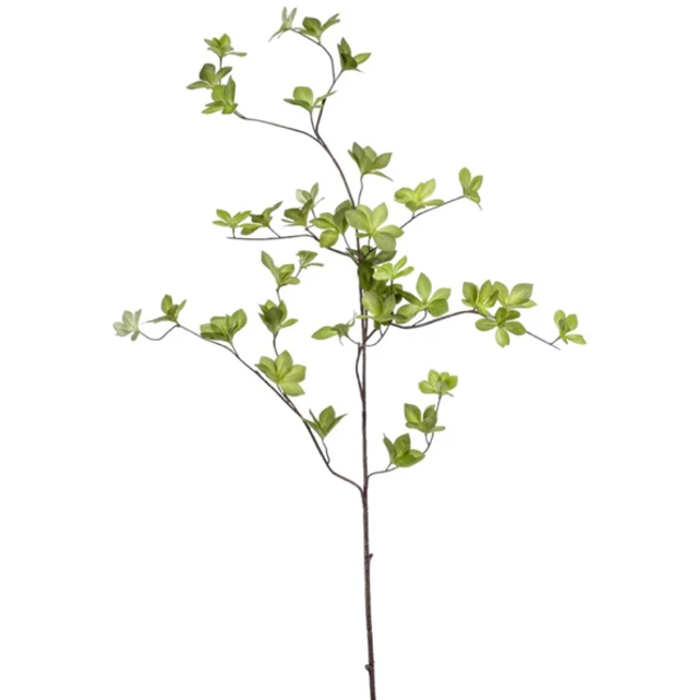 Cornus leaf spray lt green 115cm