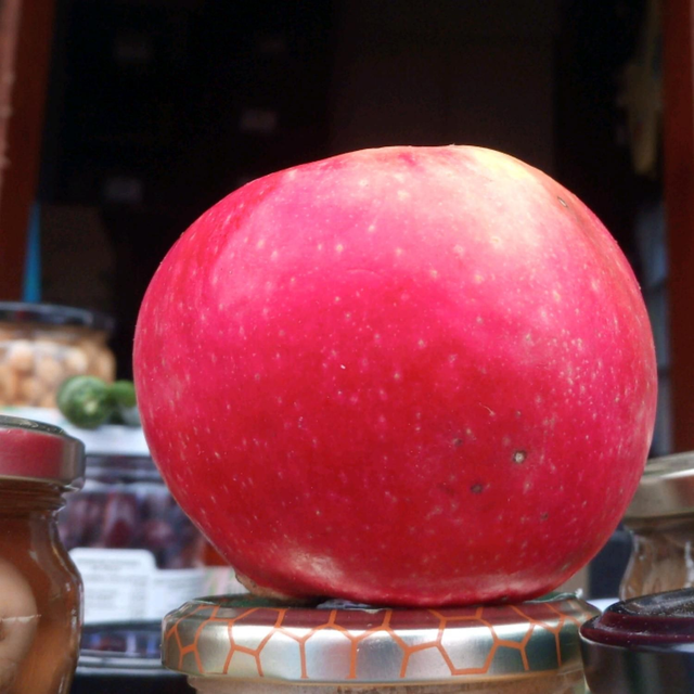 manzana sagarosa