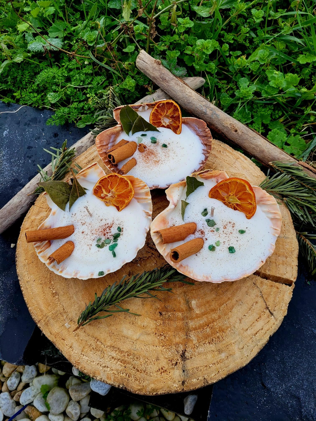 Bougie Coquille Saint-Jacques Abondance